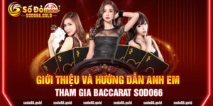Giới thiệu và hướng dẫn anh em tham gia Baccarat sodo66