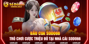 Bầu cua sodo66 - Trò chơi cược triệu đô tại nhà cái sodo66