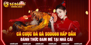 Cá cược Đá gà sodo66 hấp dẫn đánh thức đam mê tại nhà cái