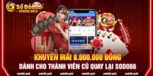 Khuyến Mãi 8.000.000 Đồng Dành Cho Thành Viên Cũ Quay Lại